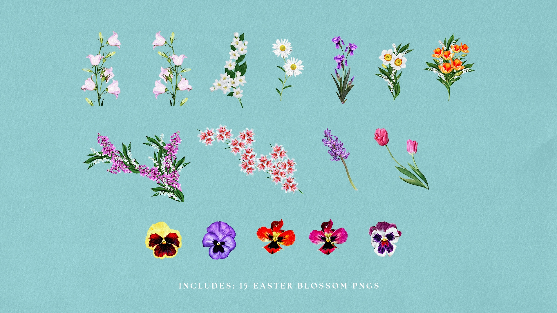 This Design Resource For Church Media Is A Vibrant Collection Of Easter-Themed Graphics, Featuring 22 Png Elements Of Meticulously Detailed Easter Blossoms And Foliage. Perfect For Crafting A Springtime Narrative, These Elements Can Be Easily Incorporated Into Custom Designs, Inviting A Touch Of Nature'S Renewal And Beauty.